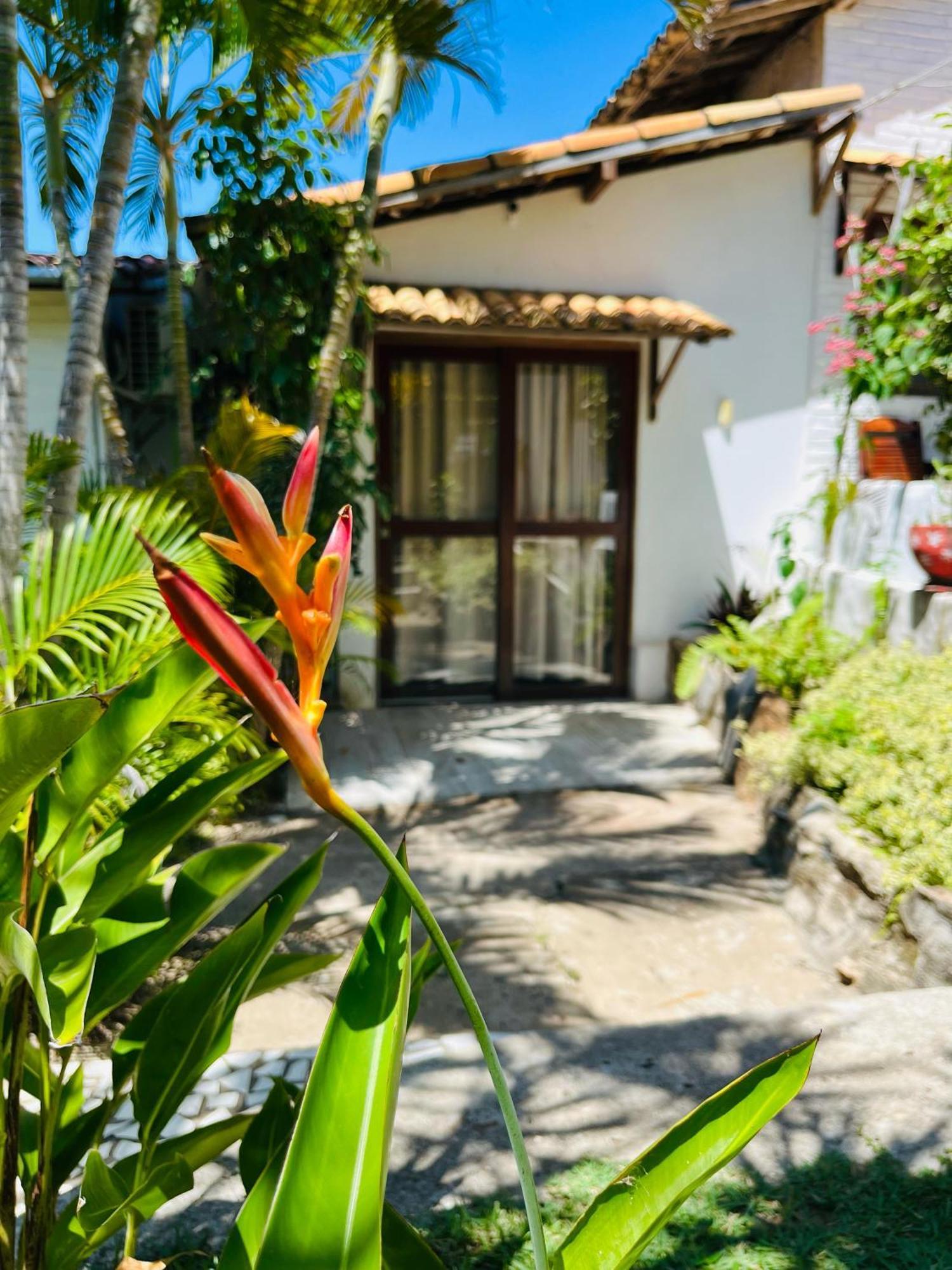 Casa Tua Pipa Apartment Praia de Pipa Exterior photo